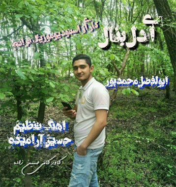 ابولفضل محمدپور ای دل بنال